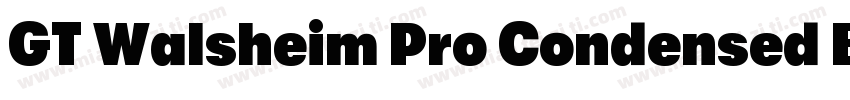 GT Walsheim Pro Condensed Bold字体转换
